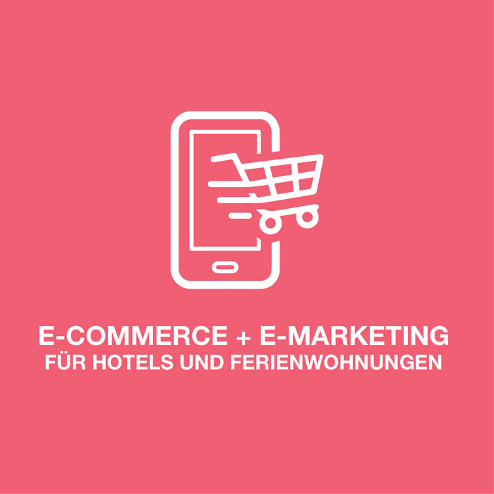 E-Commerce + E-Marketing